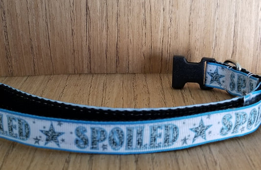 Spoiled Blue Small Dog Collar