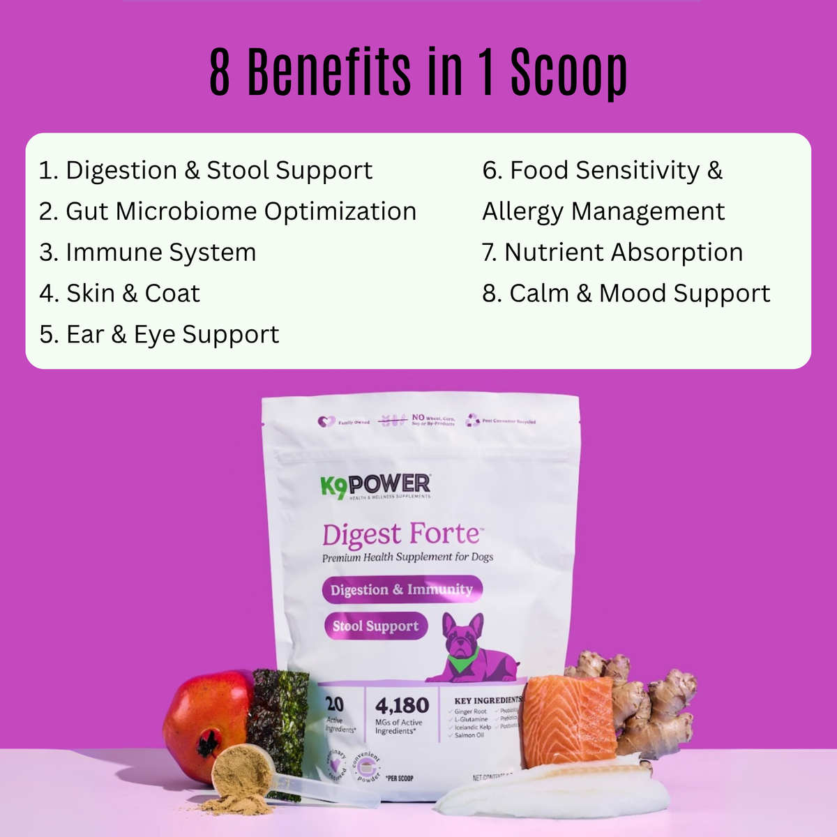 Infographic of digestive and immune health benefits in K9 Power Digest Forte dog supplement