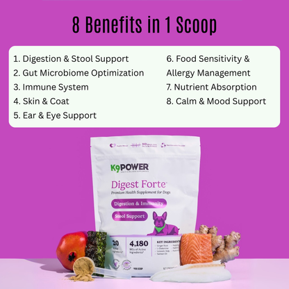 Infographic of digestive and immune health benefits in K9 Power Digest Forte dog supplement