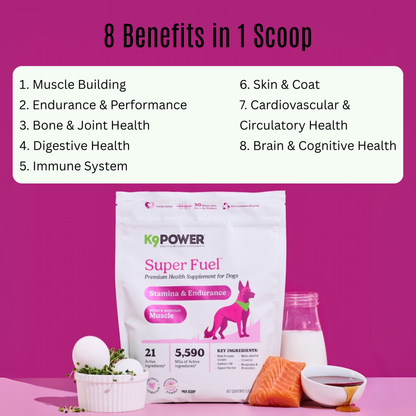 Close-up of K9 Power Super Fuel powder scoop and ingredients for active dogs