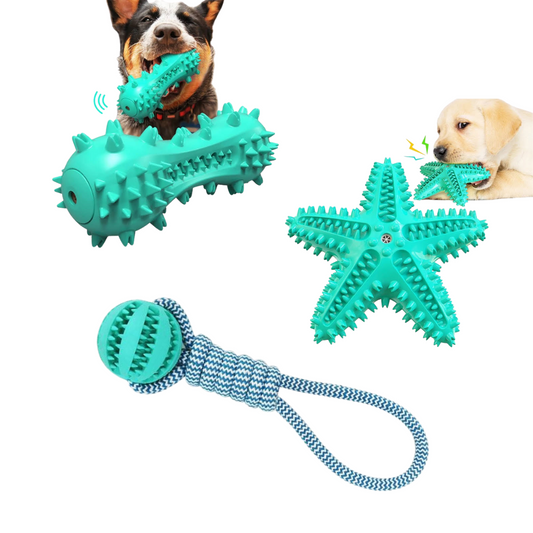 3-Pack Squeaky Dog Toothbrush Toys – Fun, Durable, and Great for Dental Health!