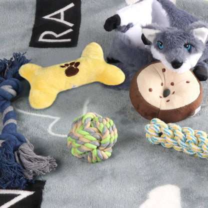 6-Piece Puppy Playtime Set: Plush squeaky toys and rope chews for small/medium dogs. Safe materials, durable design. Promotes dental health and active play.