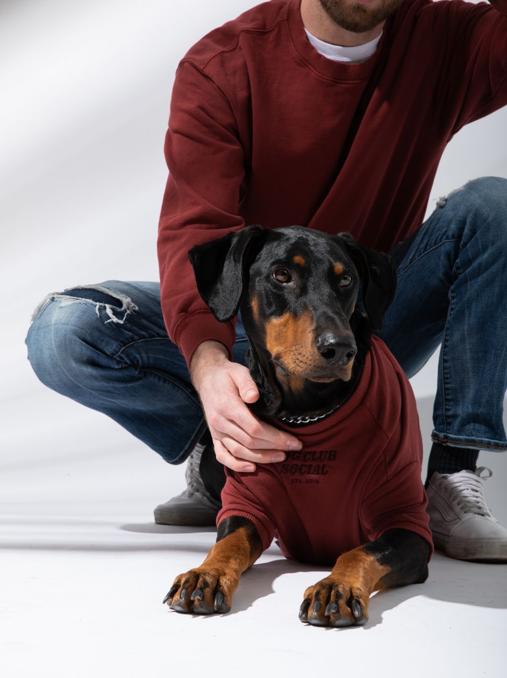 Terry Pullover lifestyle – dog wearing Good Thomas DCS maroon sweatshirt at dog park