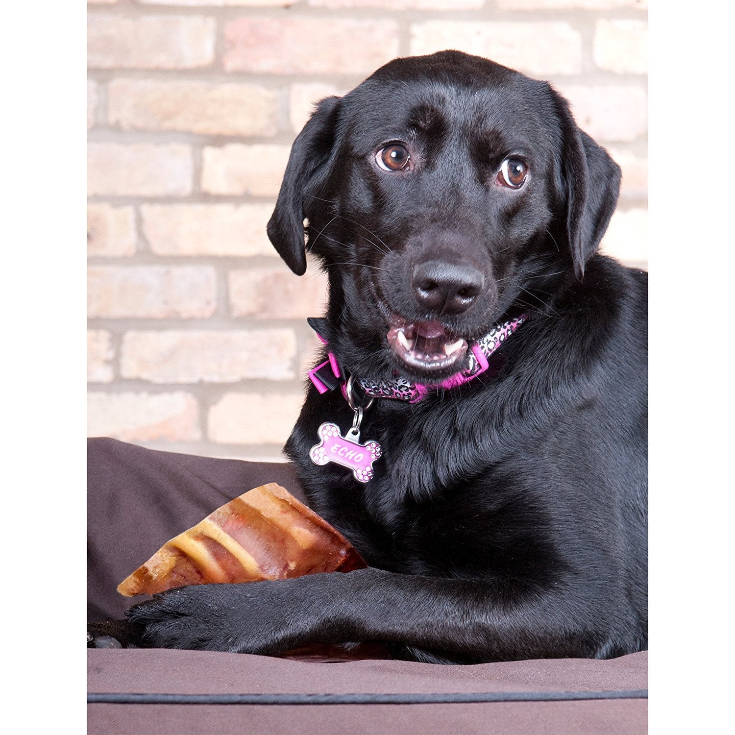 EcoKind All-Natural_Pig_Ear_Dog_Treats_Protein-Packed_Slow-Cooked_Chews