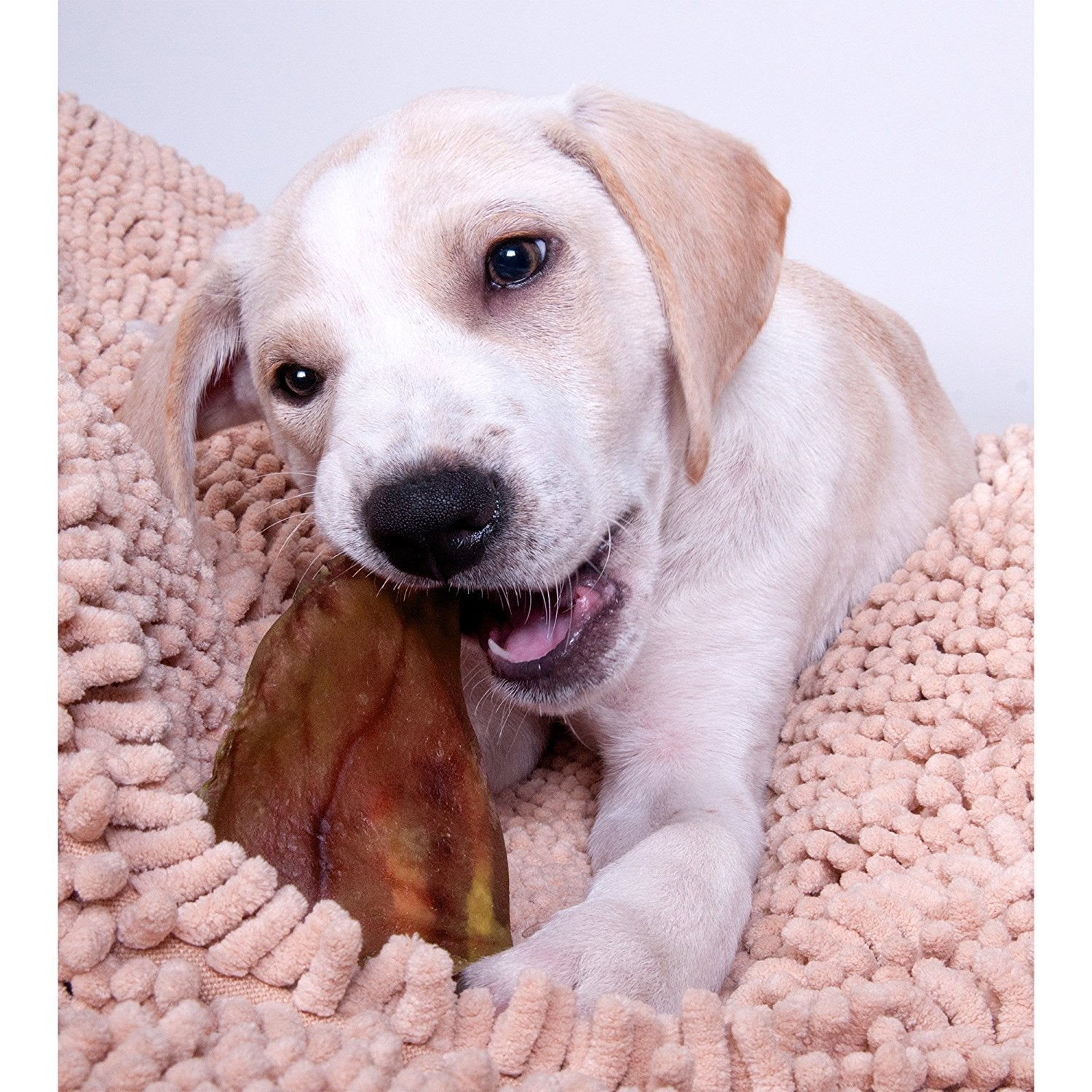 EcoKind All-Natural_Pig_Ear_Dog_Treats_Protein-Packed_Slow-Cooked_Chews