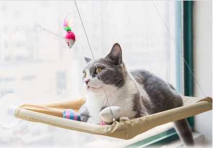 Cat Window Perch Hammock – Durable, Sunbathing Seat for Small & Large Cats with Strong Suction Cups