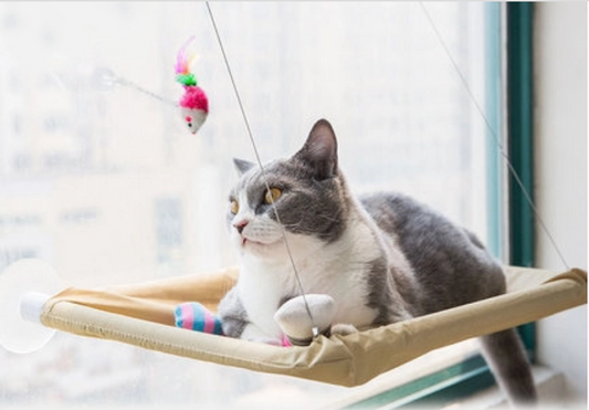 Cat Window Perch Hammock – Durable, Sunbathing Seat for Small & Large Cats with Strong Suction Cups