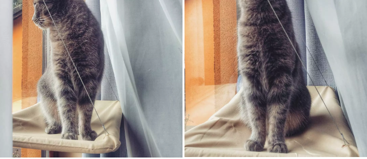 Cat Window Perch Hammock – Durable, Sunbathing Seat for Small & Large Cats with Strong Suction Cups
