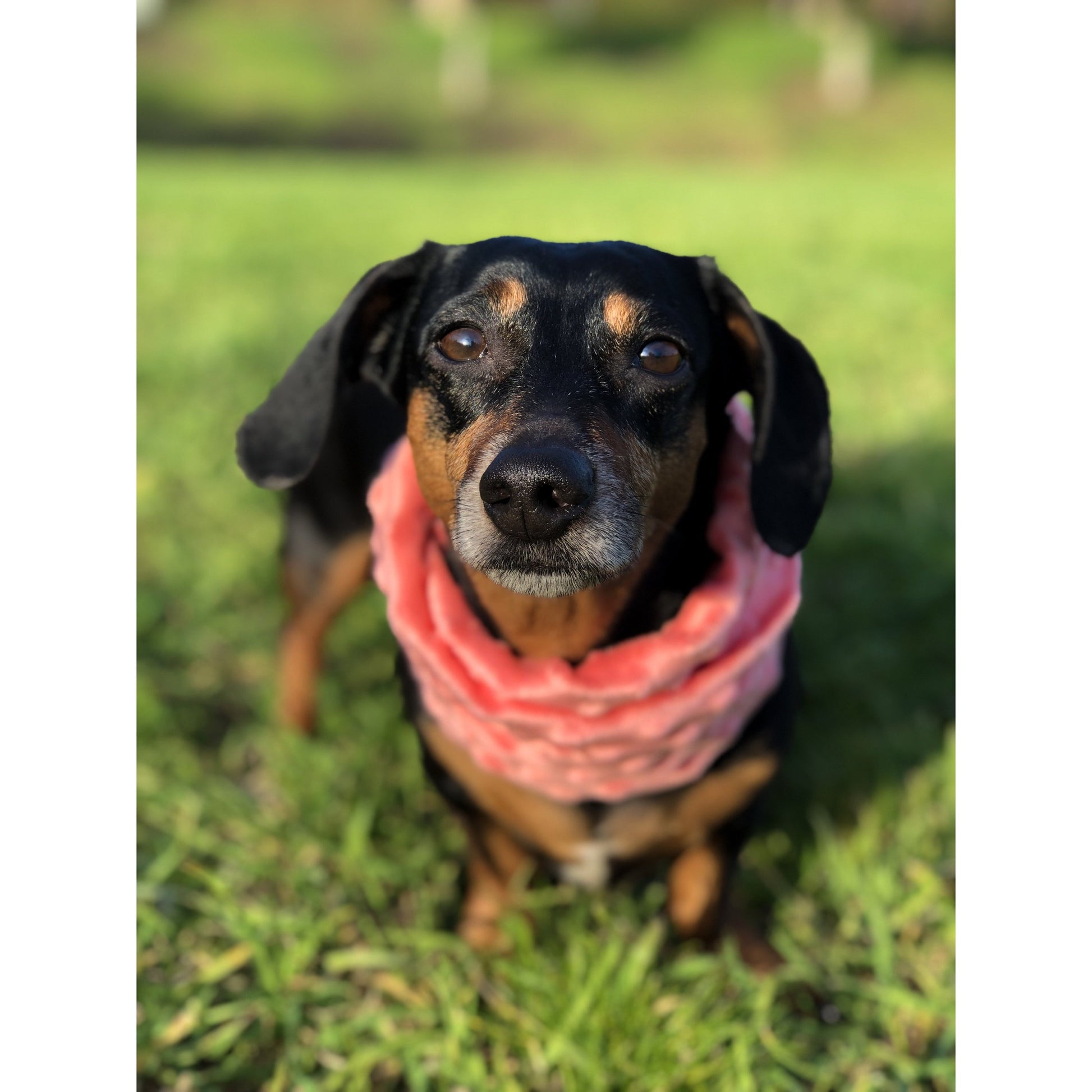 Cozy Faux Fur Mommy & Me Scarves