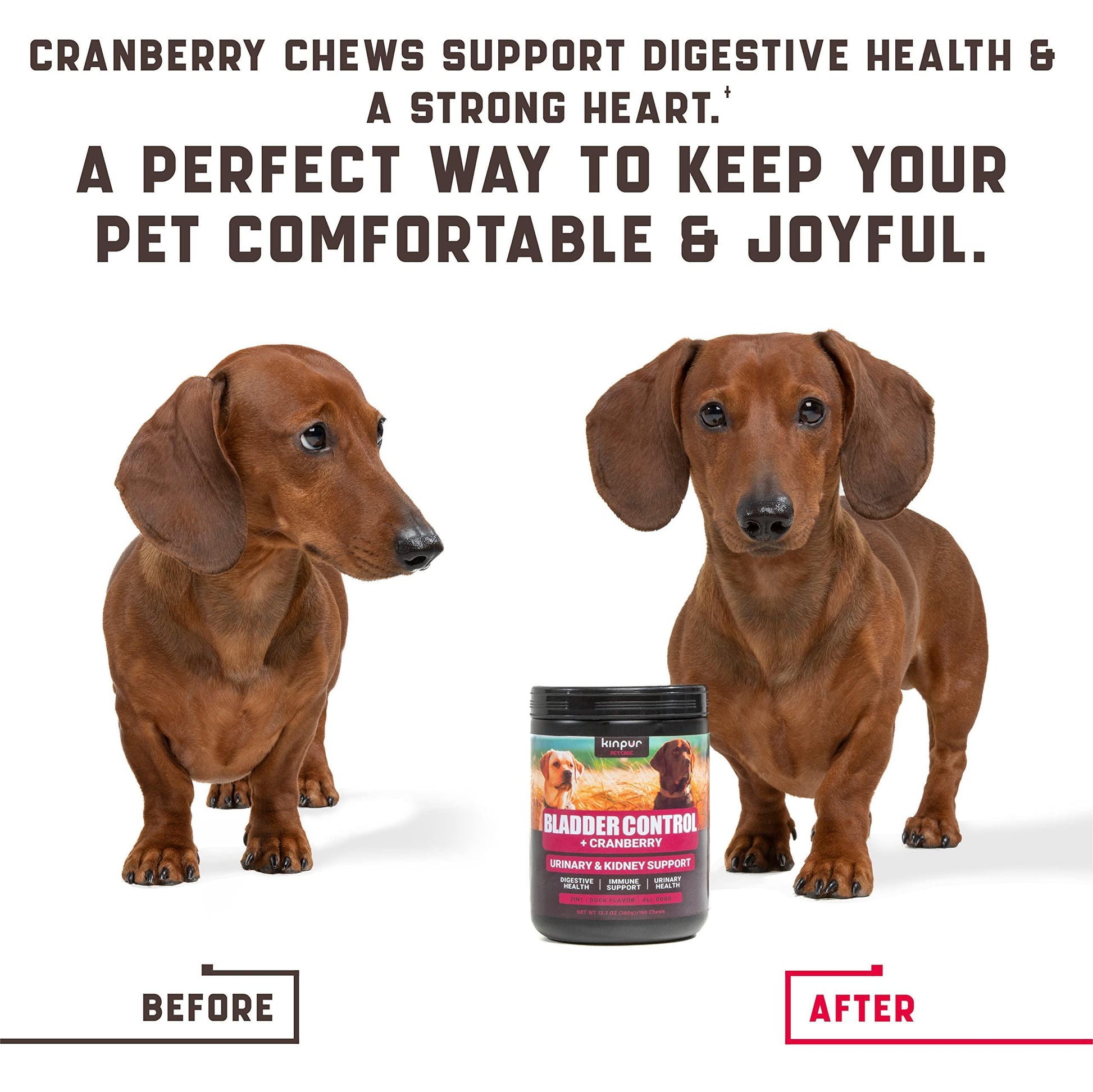 Cranberry Chews for Dogs support urinary, bladder, and kidney health while boosting immunity and digestion. Made with natural, allergen-free ingredients!