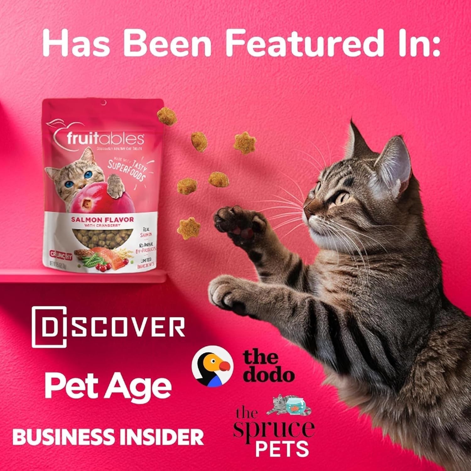 Cat Treats – Crunchy Treats for Cats – Healthy Low Calorie Treats Packed with Protein – Free of Wheat, Corn and Soy – Made with Real Tuna with Pumpkin – 2.5 Ounces