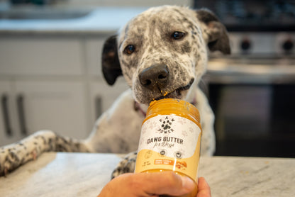 Happy dog licking Dawg Butter Original xylitol-free peanut butter from owner's hand outdoors