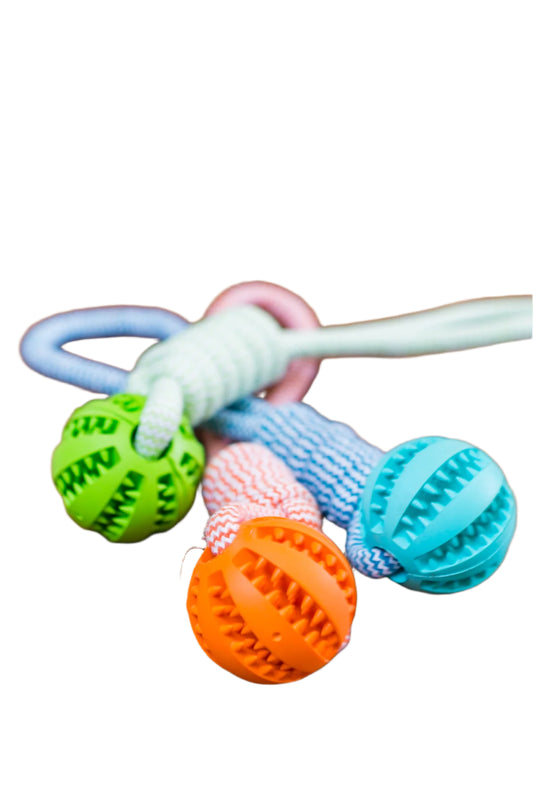 Durable Dog Chew Toy – Keep Your Dog Healthy, Happy, and Engaged!