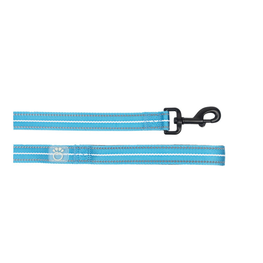 Electric Blue Blaze Dog Leash