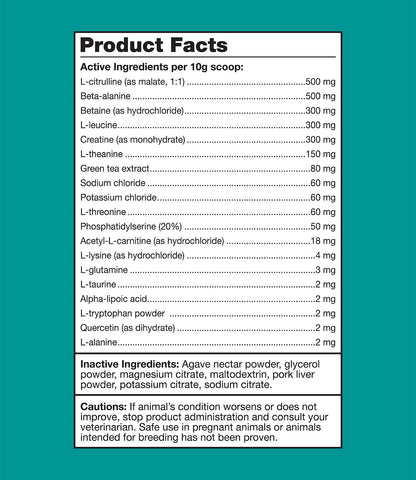 How to use K9 Power Go Dog hydration supplement, daily scoop instructions