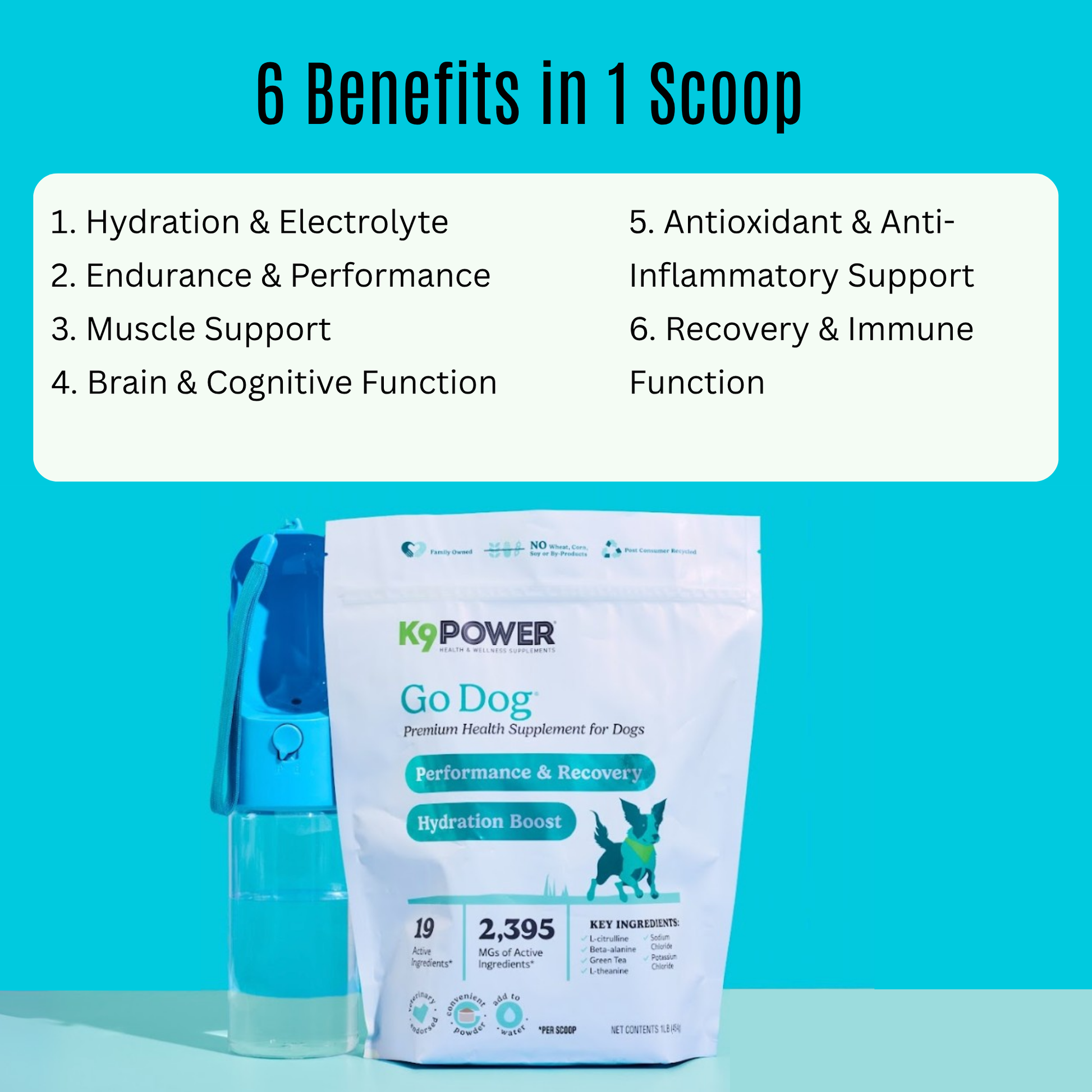 Infographic of hydration and endurance benefits in K9 Power Go Dog dog supplement