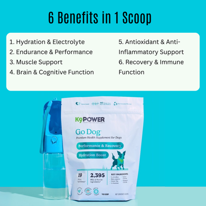 Infographic of hydration and endurance benefits in K9 Power Go Dog dog supplement