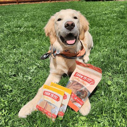 Farm to Pet Puppy Pack Training Treats – Single Ingredient Protein Chips for Puppies