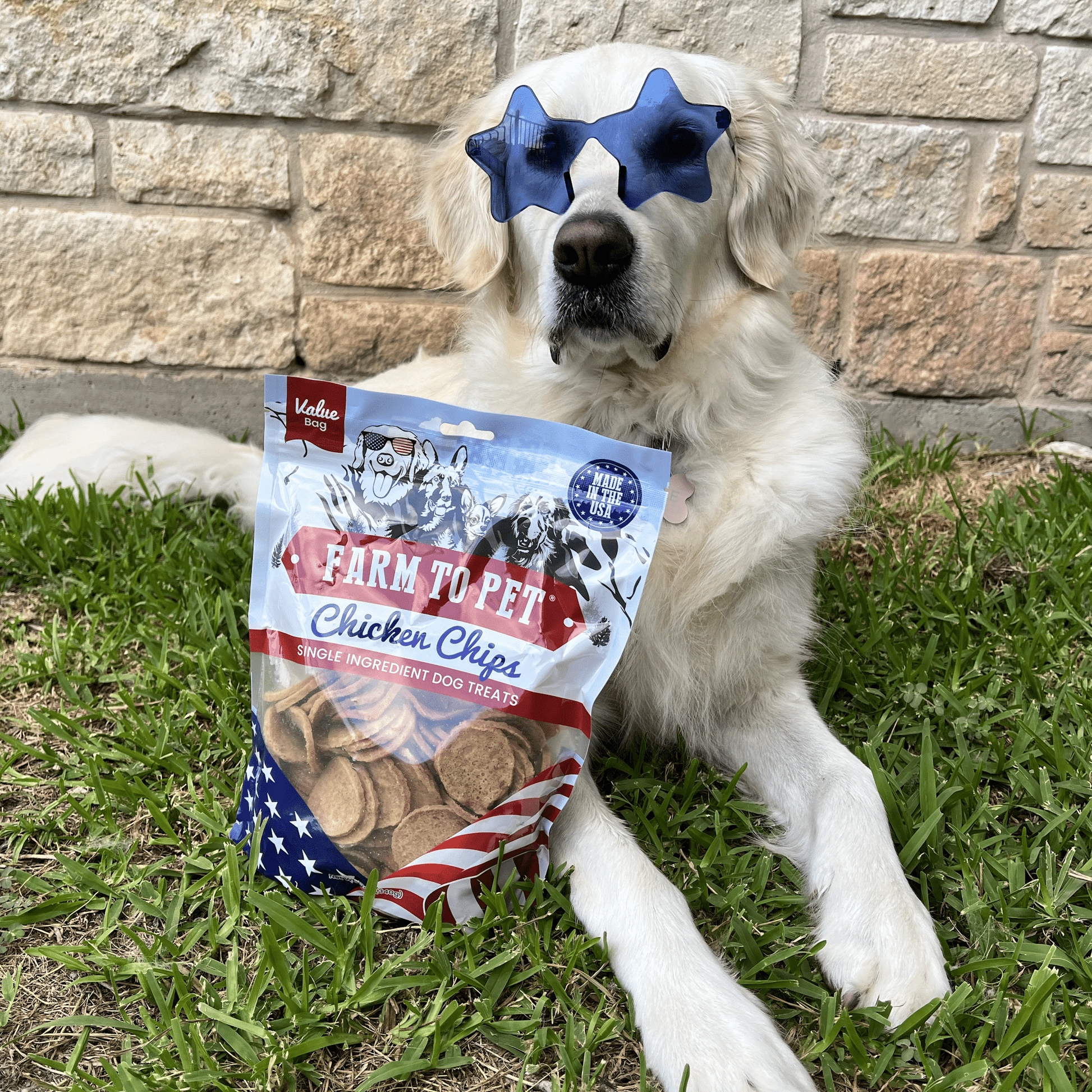 Dog in Sunglasses with Farm to Pet Americana Chicken Chips 12oz – Fun USA Dog Treats
