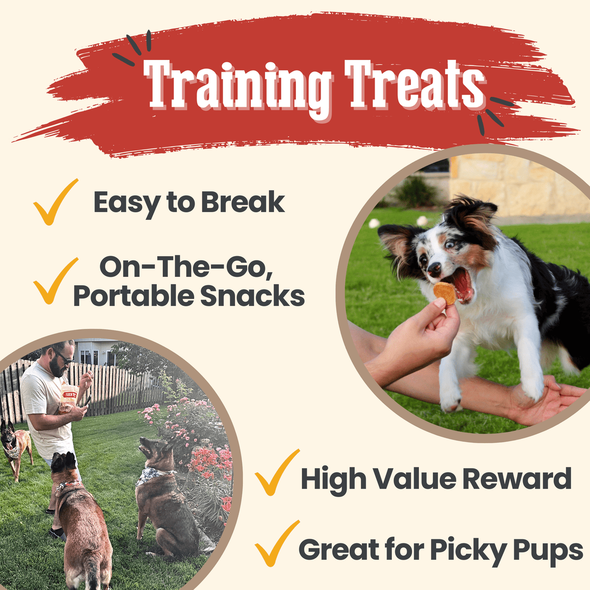 Farm To Pet Chicken Chips used as dog training treats