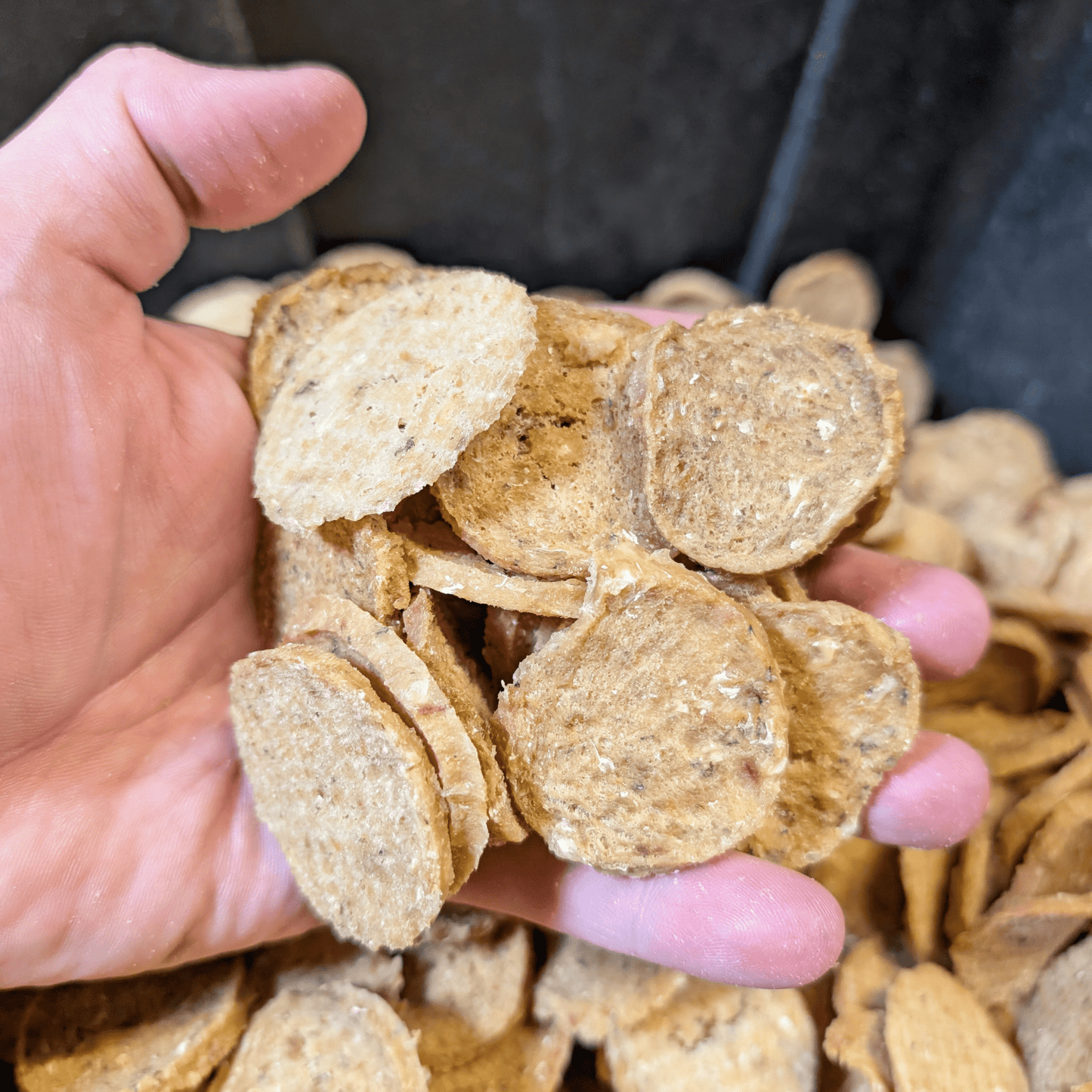 Handful of Farm to Pet Fish Chips Dog Treats – 12oz Value Bag Wild-Caught Walleye