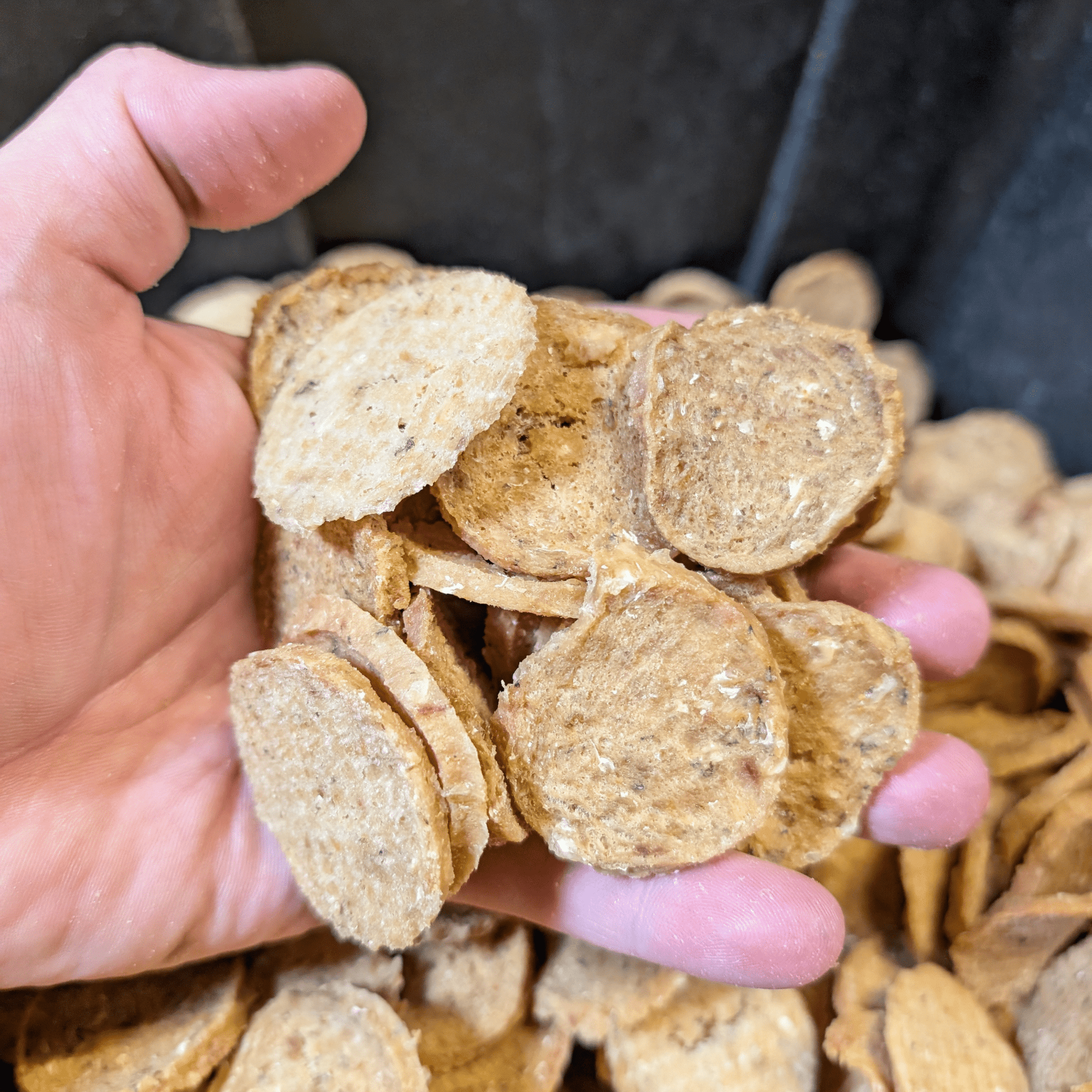 Handful of Farm to Pet Fish Chips Dog Treats – 12oz Value Bag Wild-Caught Walleye