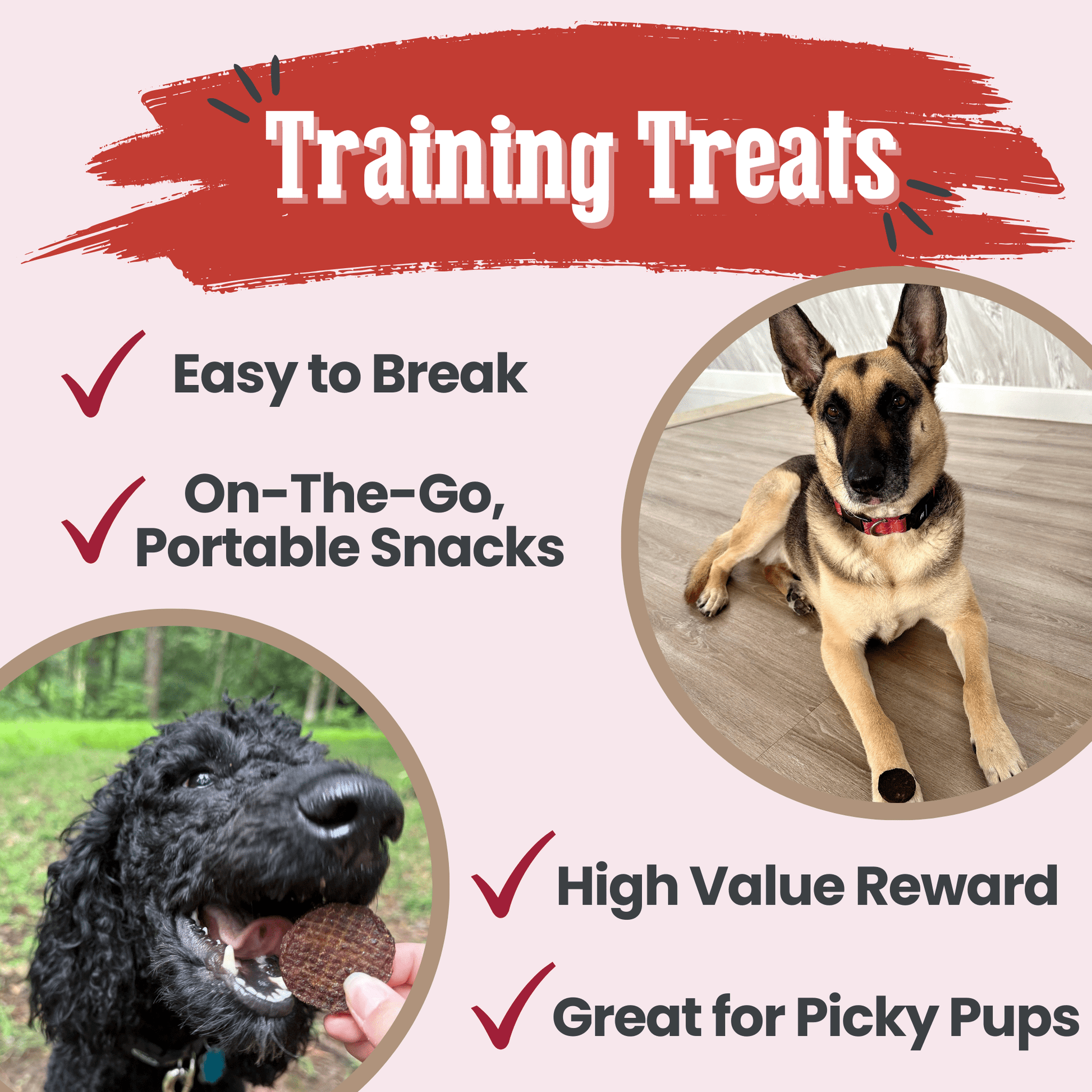 Farm to Pet 12oz Beef Chips Premium Dog Treats – High Value Training Treats