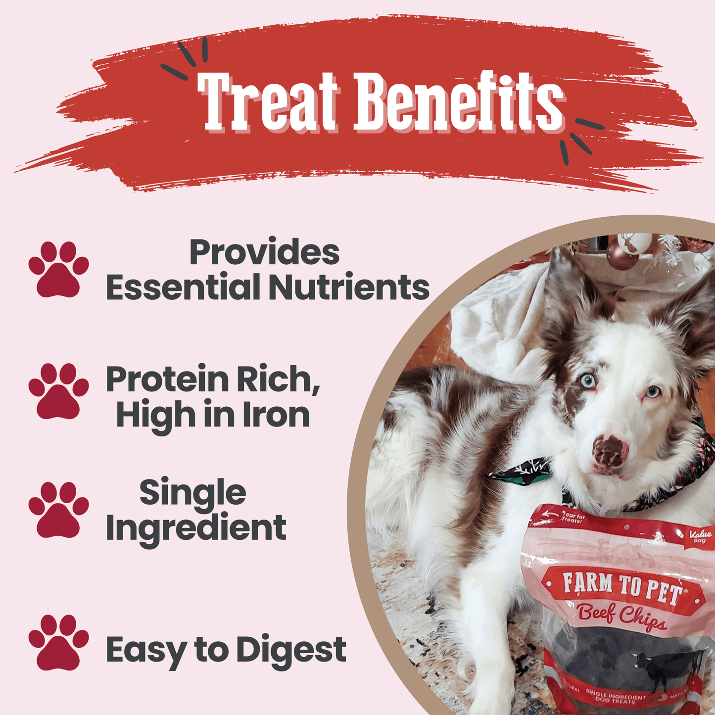 Farm to Pet 12oz Beef Chips Premium Dog Treats Benefits – Iron Rich, Low Fat, Grain-Free