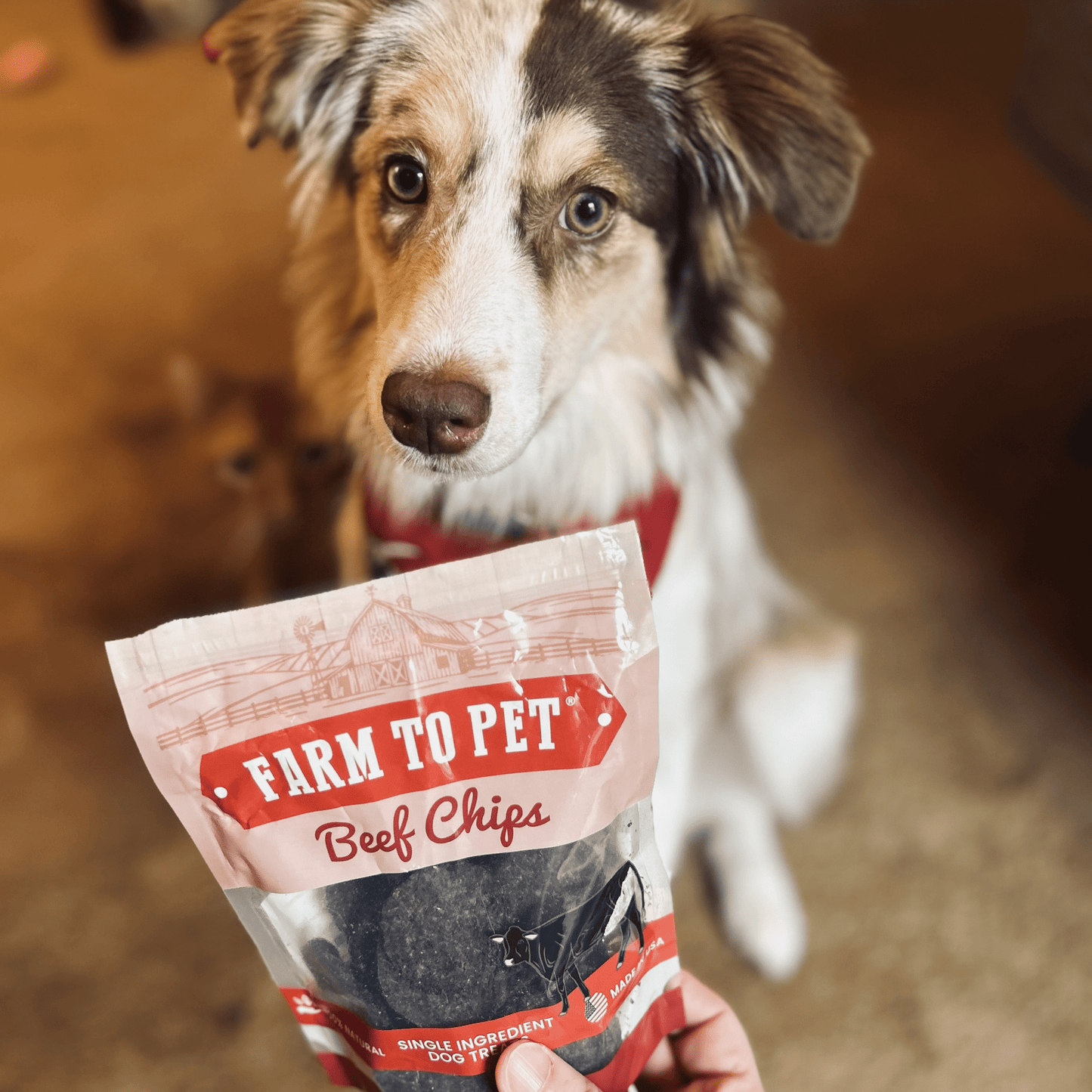 Farm to Pet Single Ingredient Beef Chips Training Treats for Dogs and Puppies