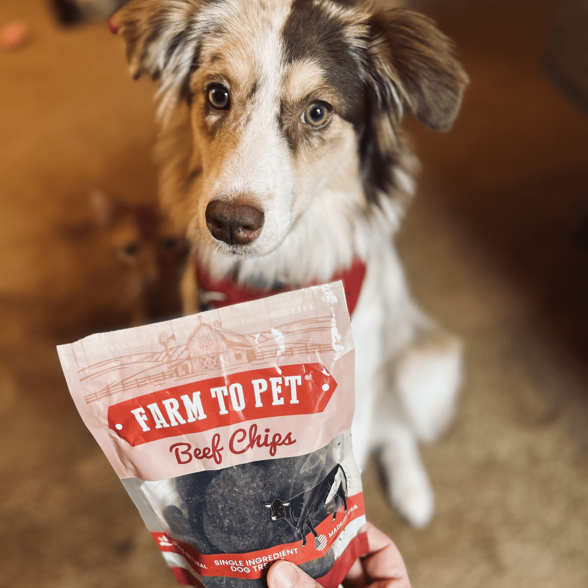 Farm to Pet Single Ingredient Beef Chips Training Treats for Dogs and Puppies