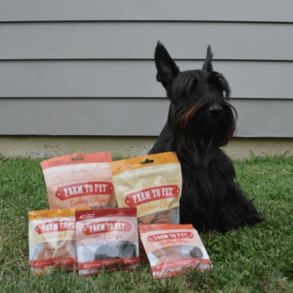 Farm to Pet Single Ingredient Chips Training Treats for Dogs Variety Pack