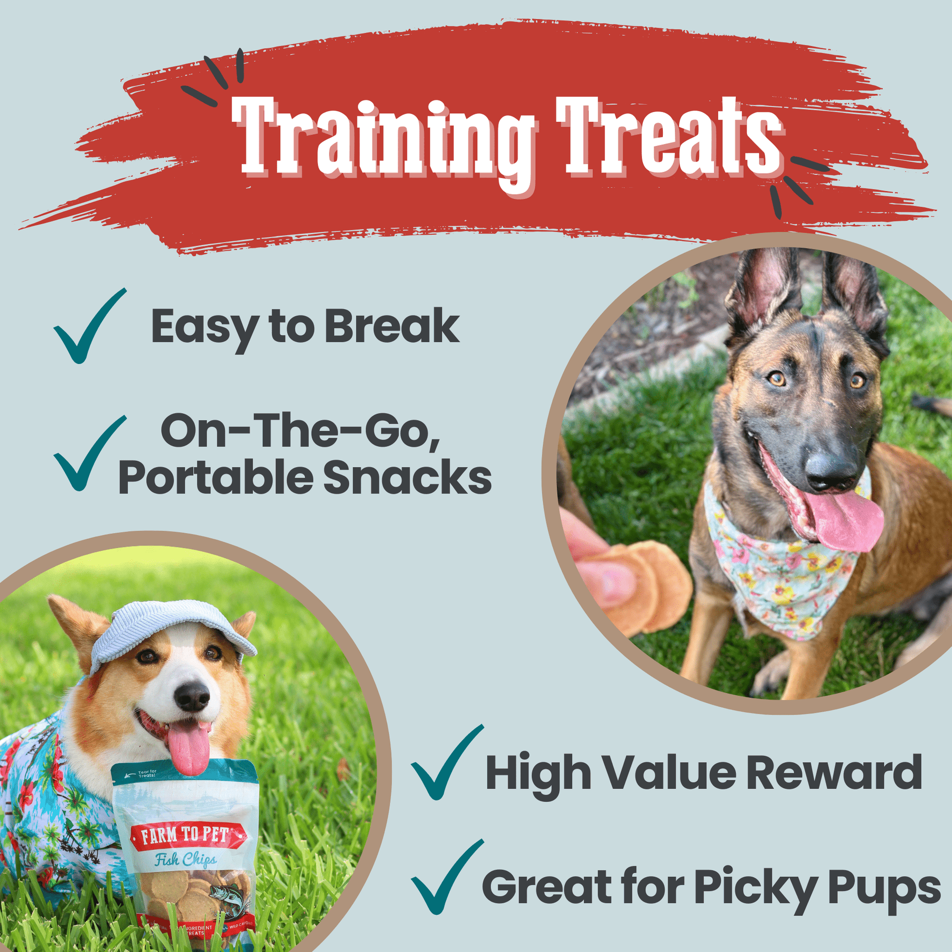 Farm to Pet Fish Chips 12oz Value Bag as Dog Training Treats – Low Fat High Value Reward