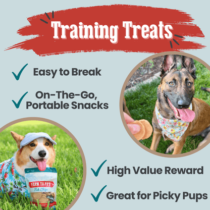 Farm to Pet Fish Chips 12oz Value Bag as Dog Training Treats – Low Fat High Value Reward