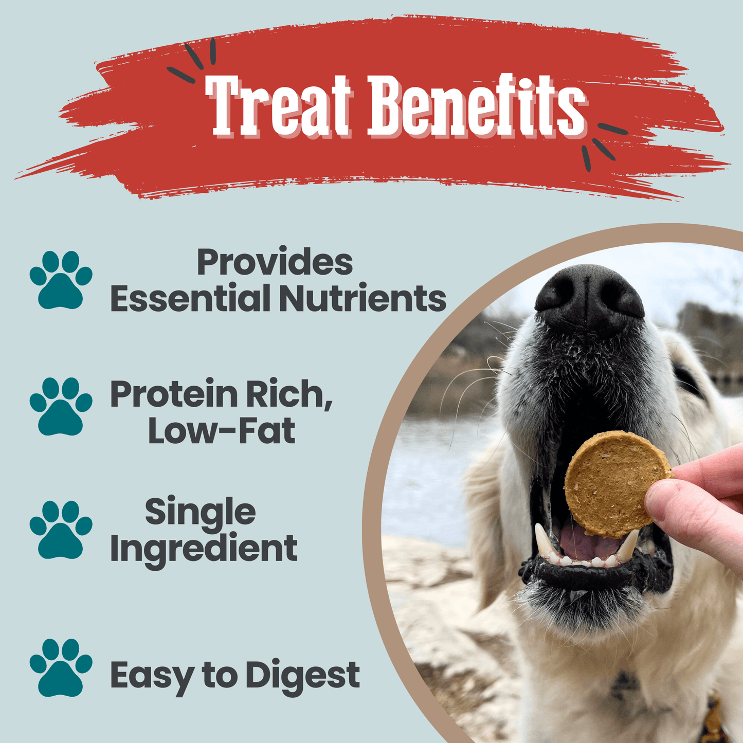 Farm to Pet Fish Chips 12oz Value Bag Treat Benefits – Omega-3, Grain-Free, Single Ingredient