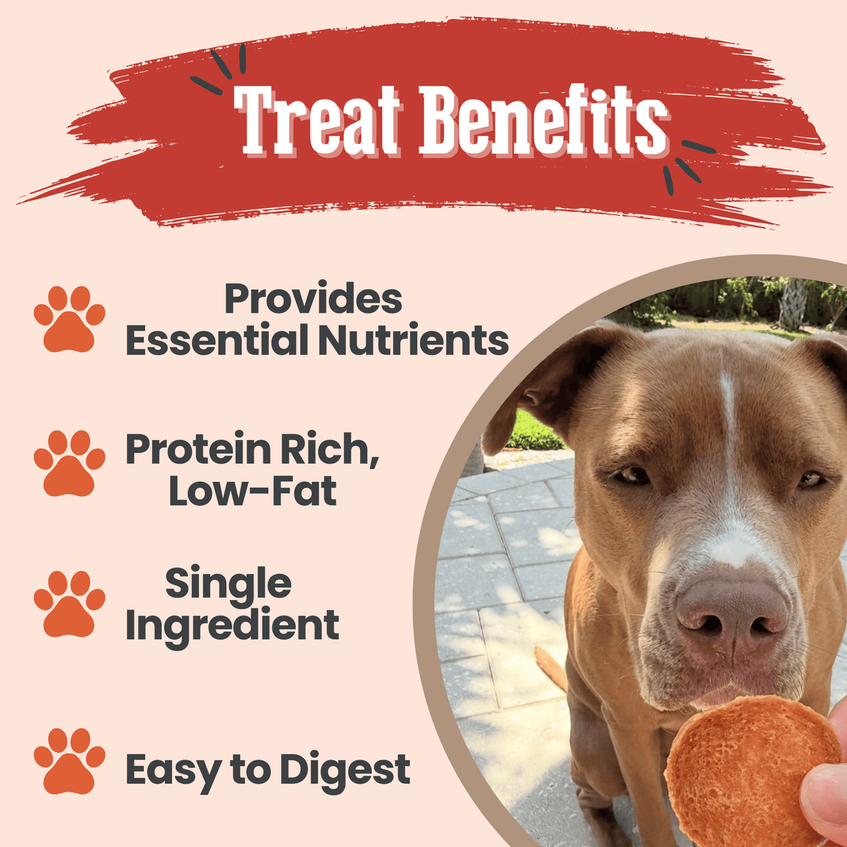 Farm To Pet Turkey Chips product highlights graphic
