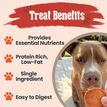 Farm To Pet Turkey Chips product highlights graphic