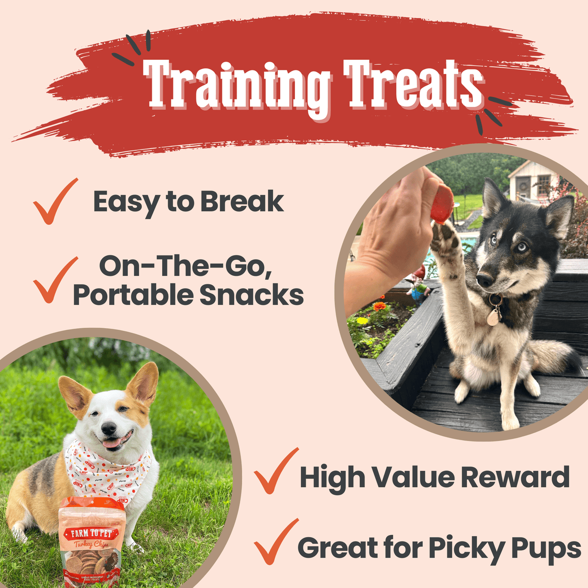 Farm To Pet Turkey Chips used as dog training treats