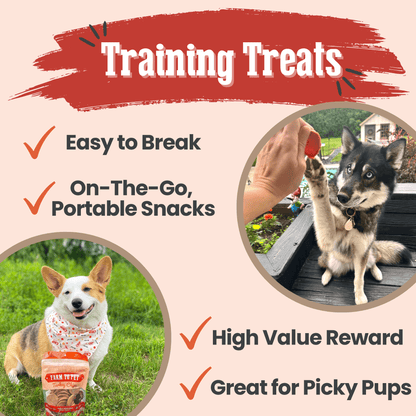 Farm To Pet Turkey Chips used as dog training treats