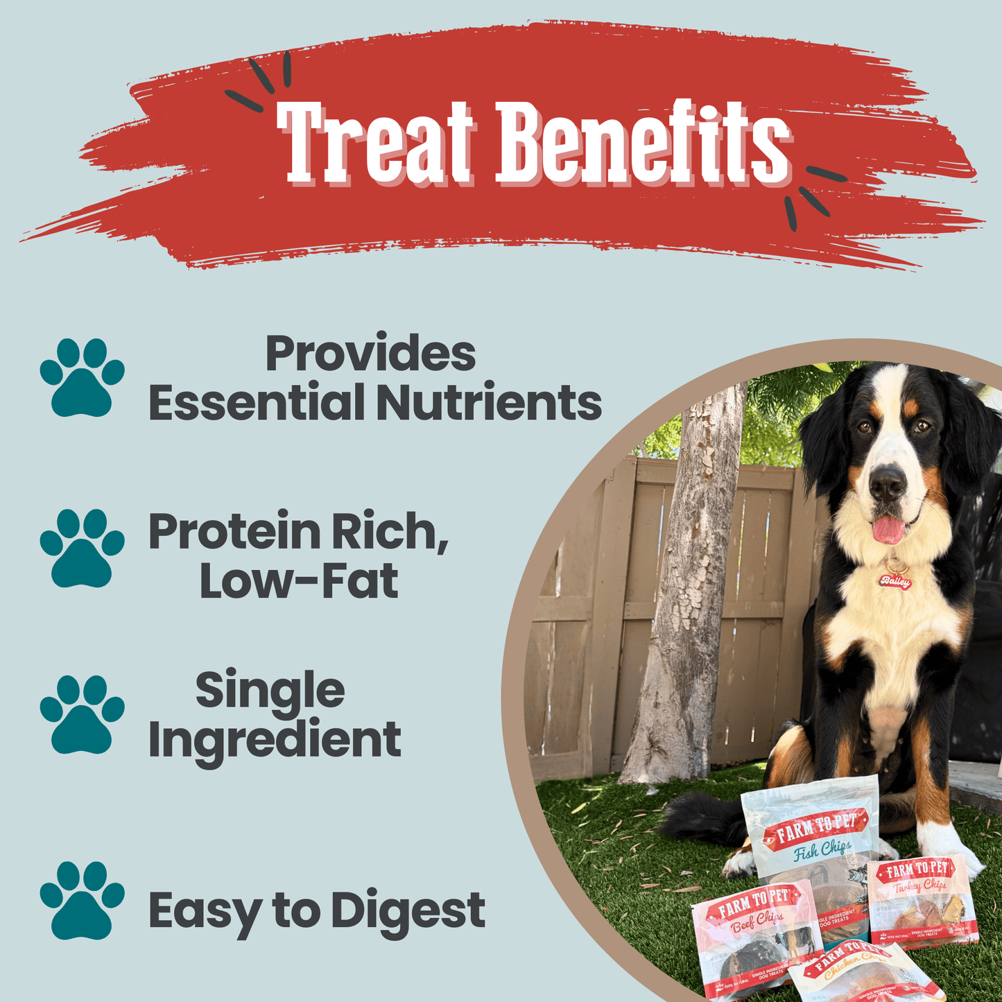 Farm to Pet Single Ingredient Dog Treats Puppy Pack Fish Treat Benefits