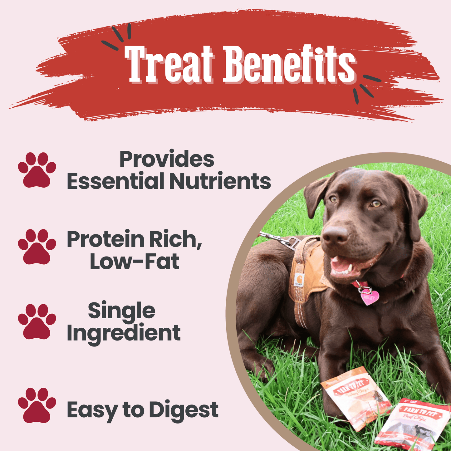 Farm to Pet Single Ingredient Dog Treats Puppy Pack Benefits – High Protein, Grain-Free