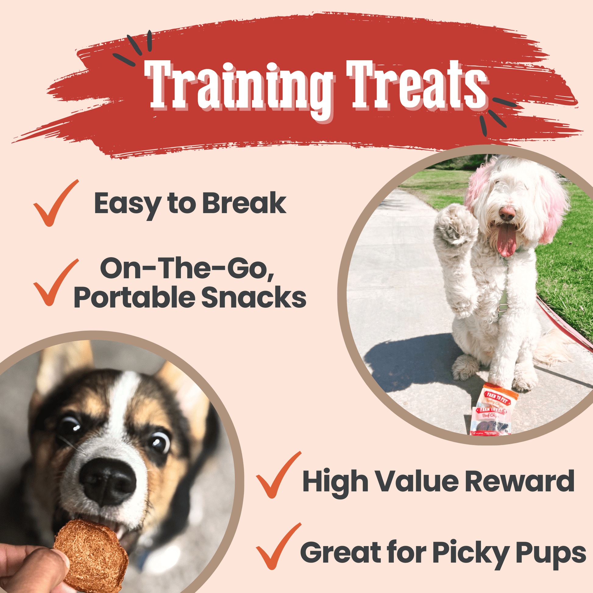 Farm to Pet Single Ingredient Dog Treats Puppy Packs Beef Training Treats Lifestyle