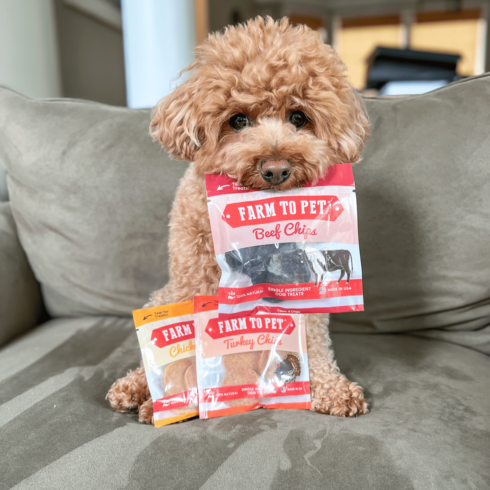 Small Dog with Farm to Pet Single Ingredient Dog Treat Snack Pack Sampler