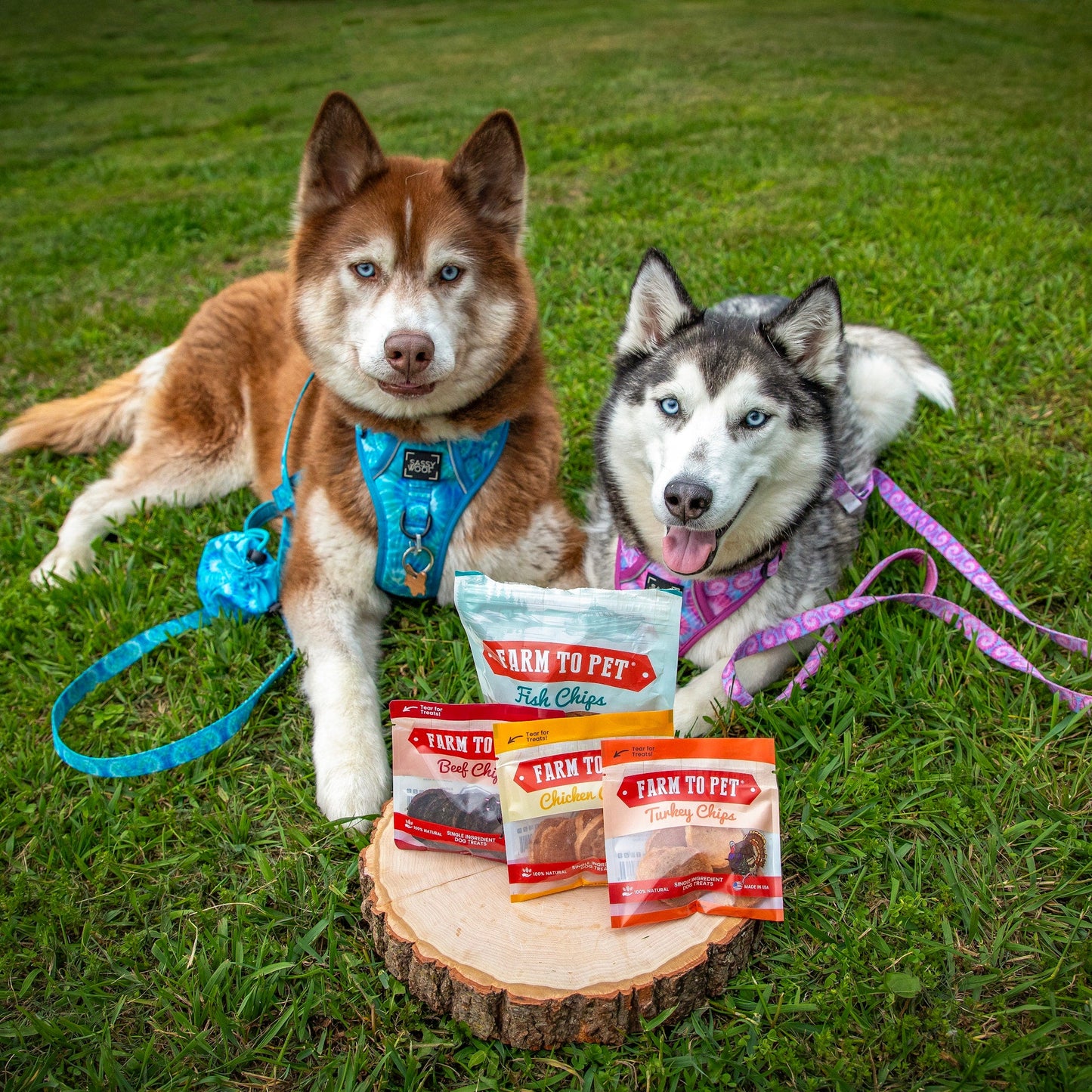 Farm to Pet Single Ingredient Fish Chips Training Treats Puppy Packs