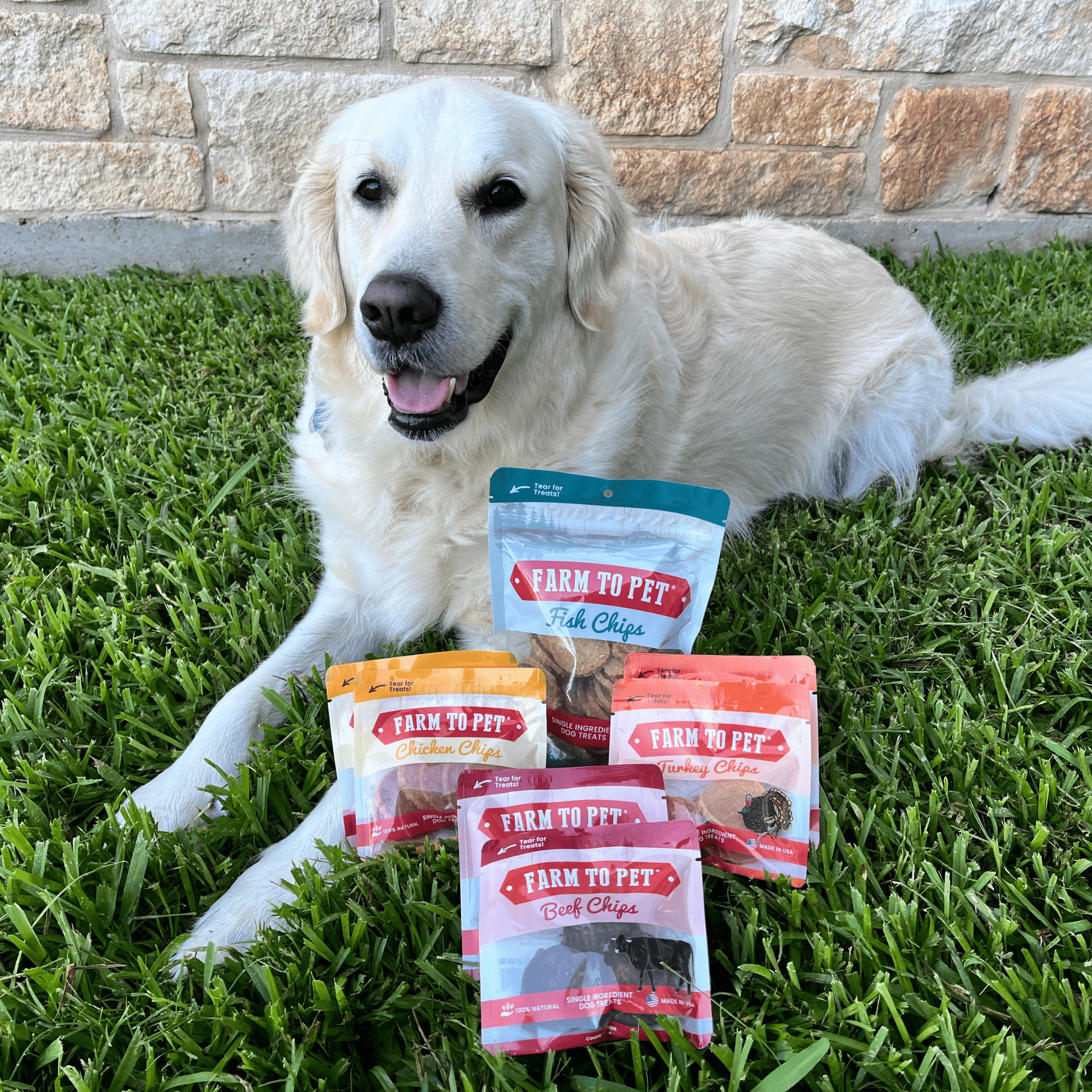 Farm to Pet Single Ingredient Fish Chips Training Treats for Dogs