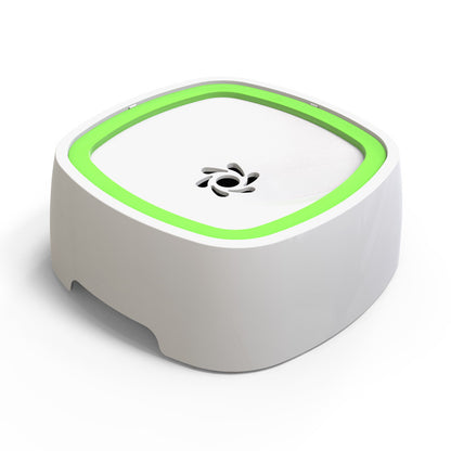 Green Trim Spill-Proof XL Dog Water Bowl