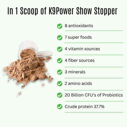 Infographic of 9 skin, coat, and allergy benefits in K9 Power Show Stopper dog supplement