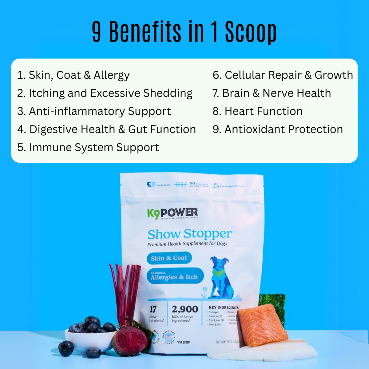 Close-up of K9 Power Show Stopper powder scoop and ingredients for dog coat health