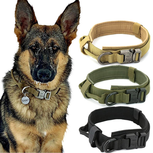 Heavy-Duty Dog Collar with Handle – Durable, Adjustable, and Comfortable for Medium & Large Dogs