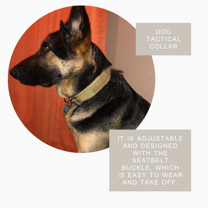 Heavy-Duty Dog Collar with Handle – Durable, Adjustable, and Comfortable for Medium & Large Dogs
