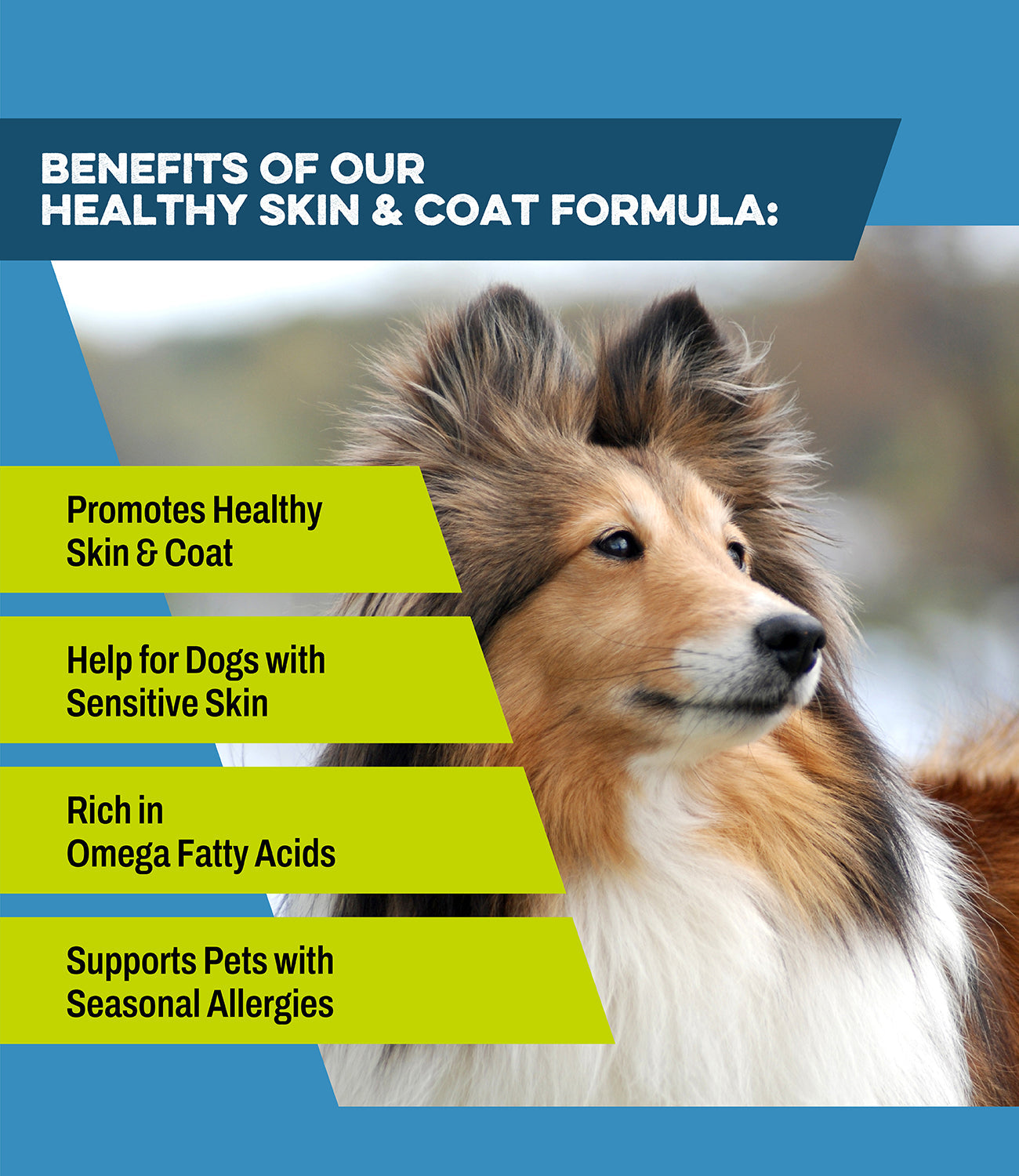How to use K9 Power Show Stopper dog skin and coat supplement, daily scoop instructions